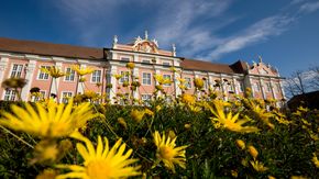 Meersburg New Palace at Lake Constance