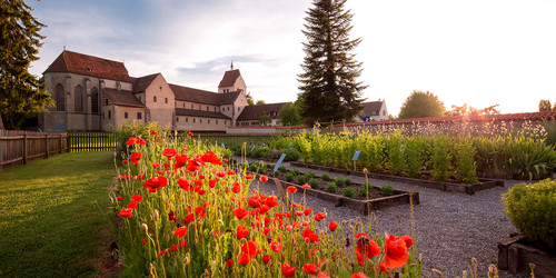 Monastery garden on Reichenau Island | © Helmuth Scham