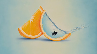 Fish in the orange | © Rainer Schoch