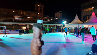 Ice Skating Rink at Lake Constance Christmas in Friedrichshafen