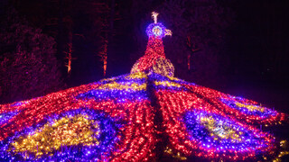 Christmas Garden Insel Mainau | © Achim Mende