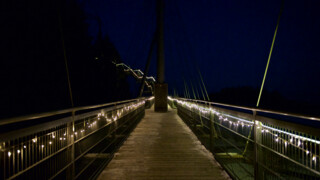 Forest Christmas in the skywalk allgäu